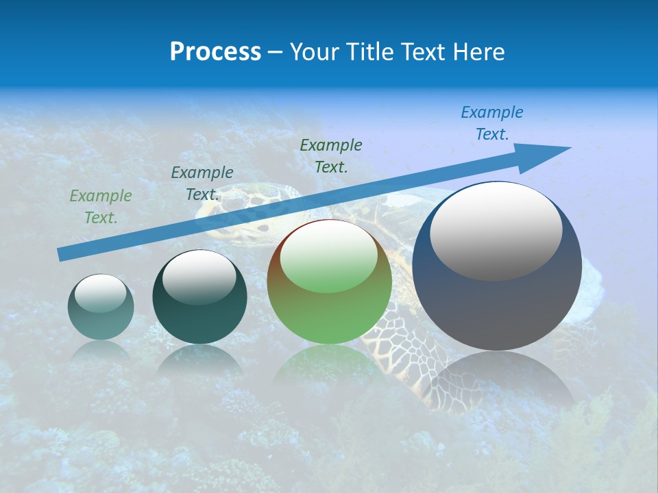 Hawkbill Sea Turtle PowerPoint Template