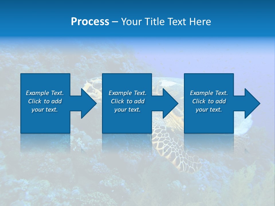 Hawkbill Sea Turtle PowerPoint Template