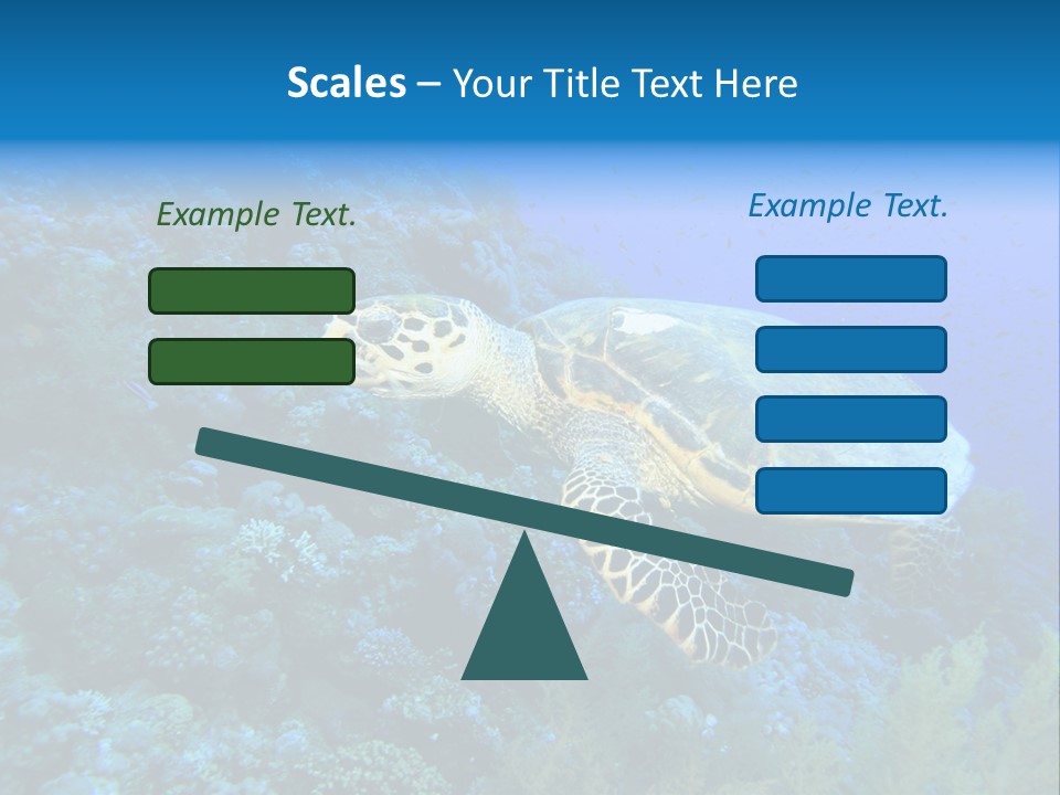 Hawkbill Sea Turtle PowerPoint Template