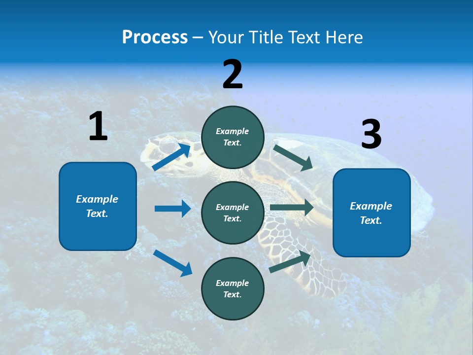 Hawkbill Sea Turtle PowerPoint Template