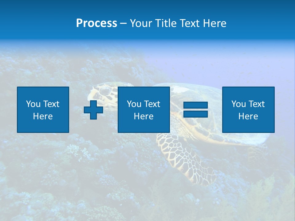 Hawkbill Sea Turtle PowerPoint Template