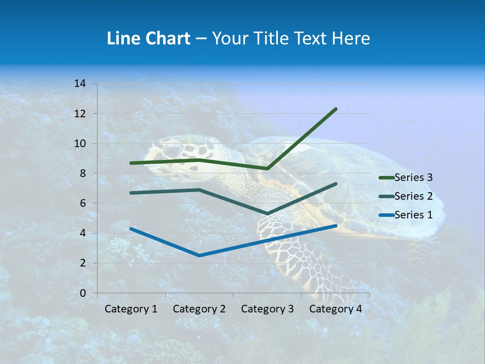 Hawkbill Sea Turtle PowerPoint Template