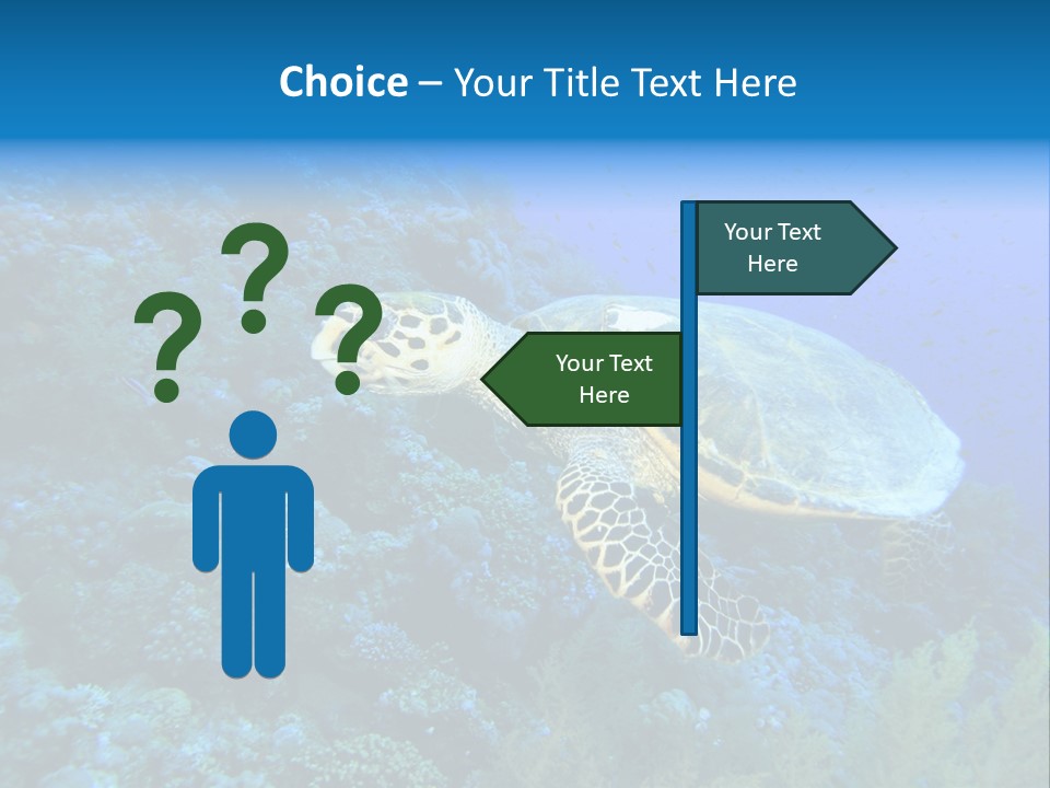Hawkbill Sea Turtle PowerPoint Template
