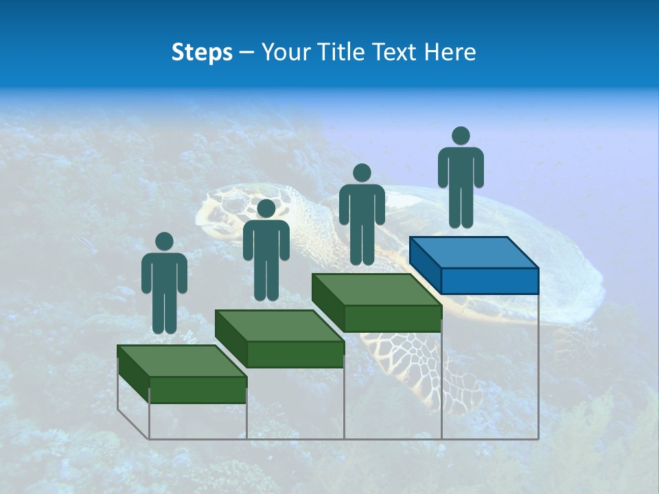 Hawkbill Sea Turtle PowerPoint Template