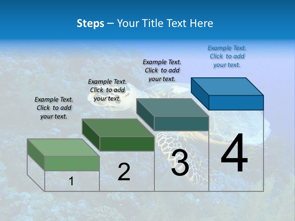 Hawkbill Sea Turtle PowerPoint Template