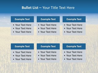 Wheat Field PowerPoint Template