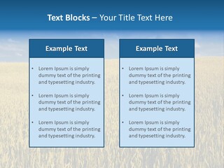 Wheat Field PowerPoint Template