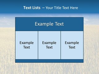 Wheat Field PowerPoint Template