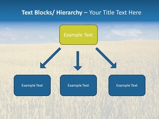 Wheat Field PowerPoint Template