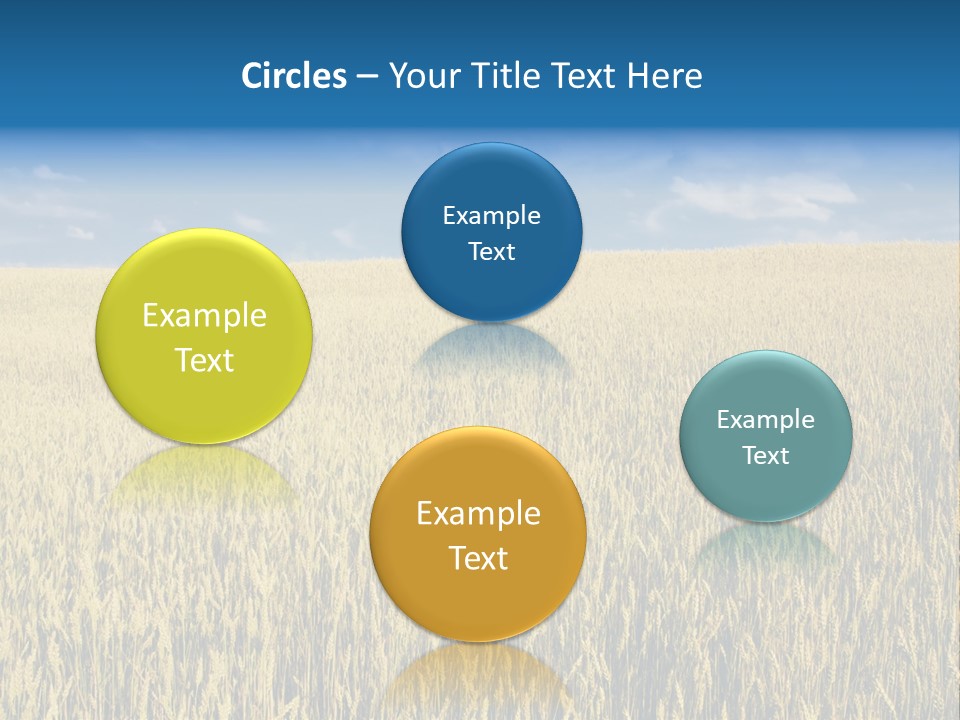 Wheat Field PowerPoint Template
