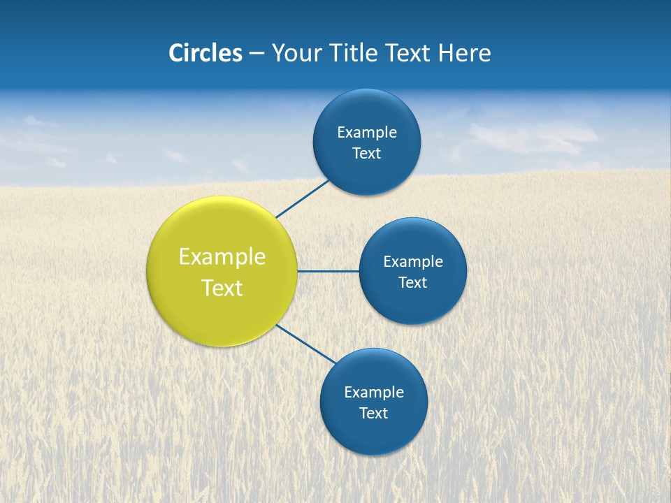 Wheat Field PowerPoint Template