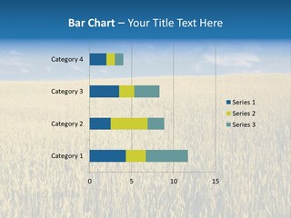 Wheat Field PowerPoint Template