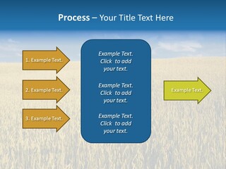 Wheat Field PowerPoint Template