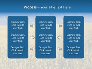 Wheat Field PowerPoint Template