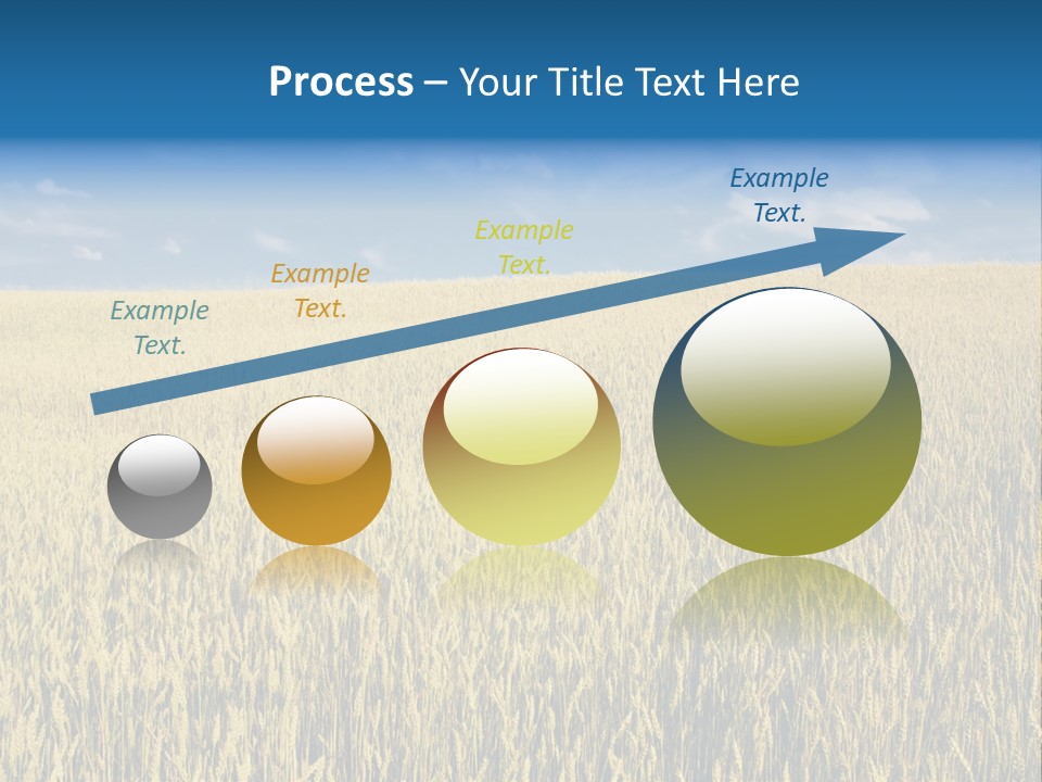 Wheat Field PowerPoint Template