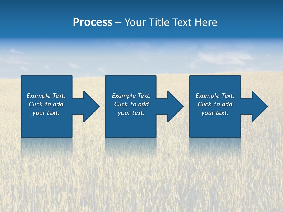 Wheat Field PowerPoint Template