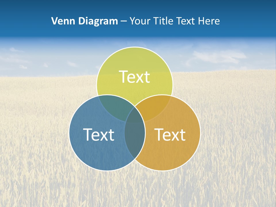 Wheat Field PowerPoint Template