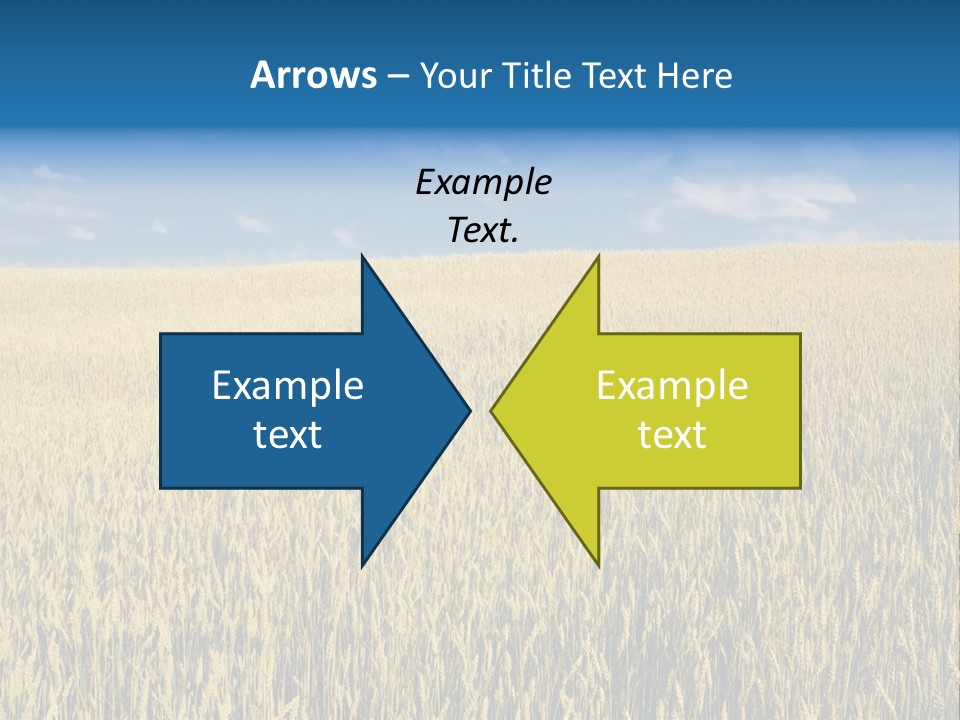Wheat Field PowerPoint Template
