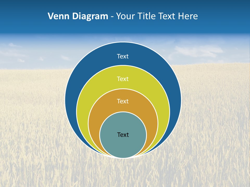 Wheat Field PowerPoint Template
