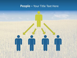 Wheat Field PowerPoint Template