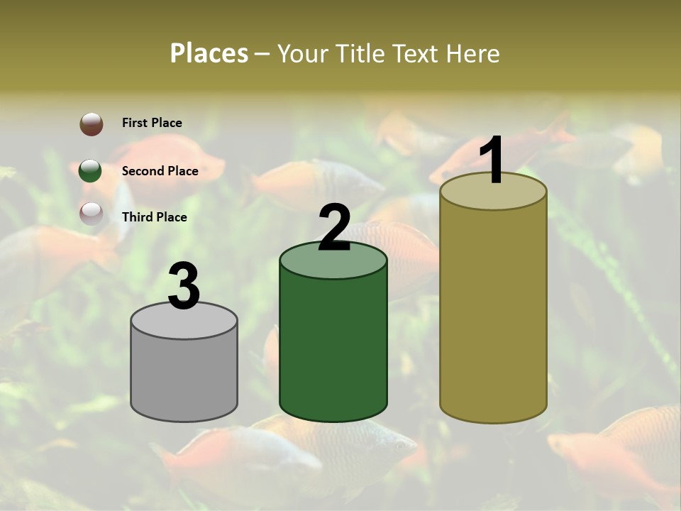 Fish In Aquarium PowerPoint Template