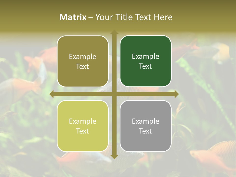 Fish In Aquarium PowerPoint Template