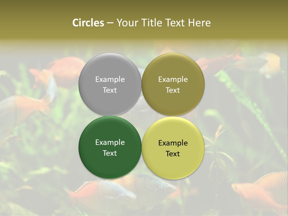 Fish In Aquarium PowerPoint Template