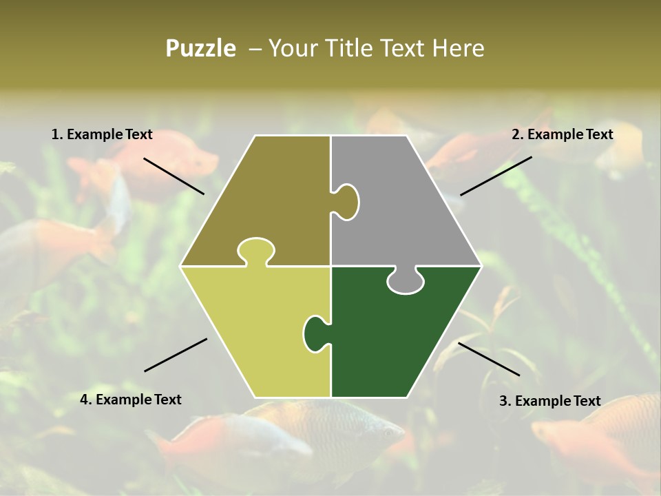 Fish In Aquarium PowerPoint Template