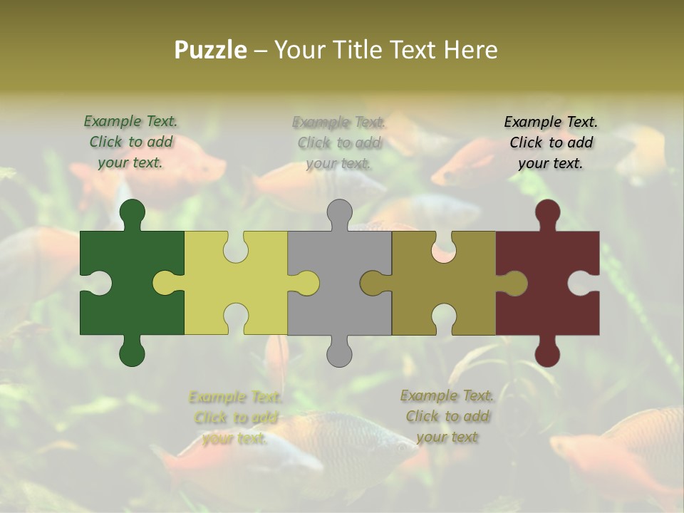 Fish In Aquarium PowerPoint Template