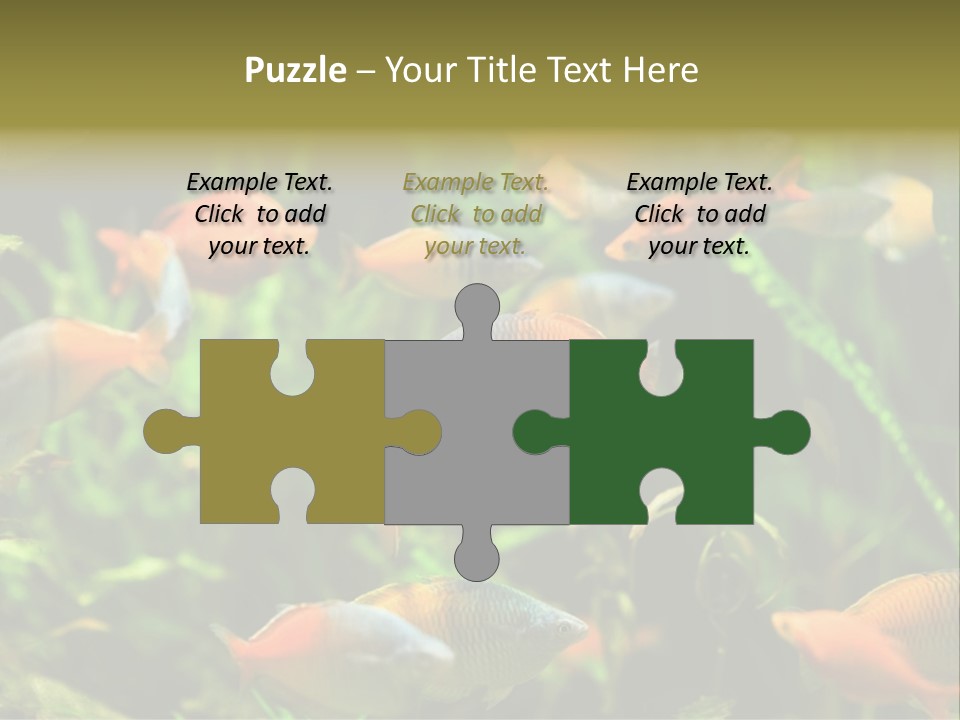 Fish In Aquarium PowerPoint Template