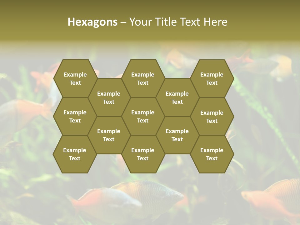 Fish In Aquarium PowerPoint Template