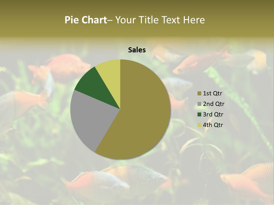 Fish In Aquarium PowerPoint Template