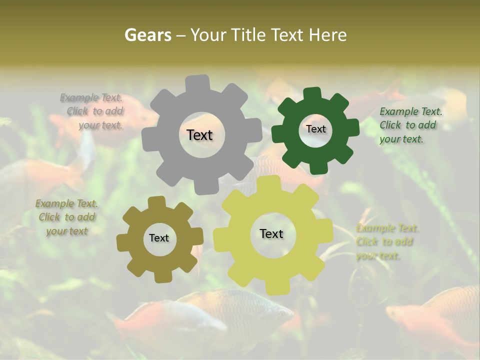 Fish In Aquarium PowerPoint Template