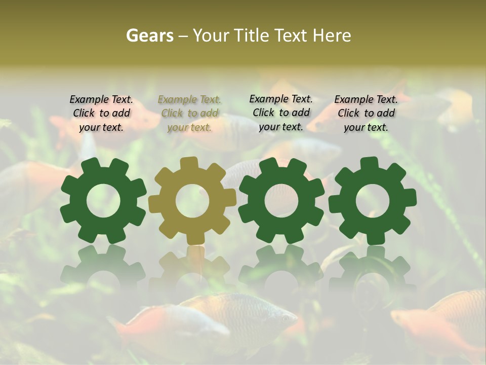 Fish In Aquarium PowerPoint Template