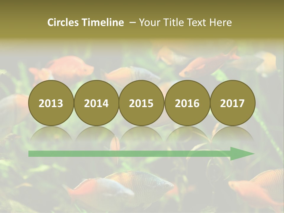 Fish In Aquarium PowerPoint Template