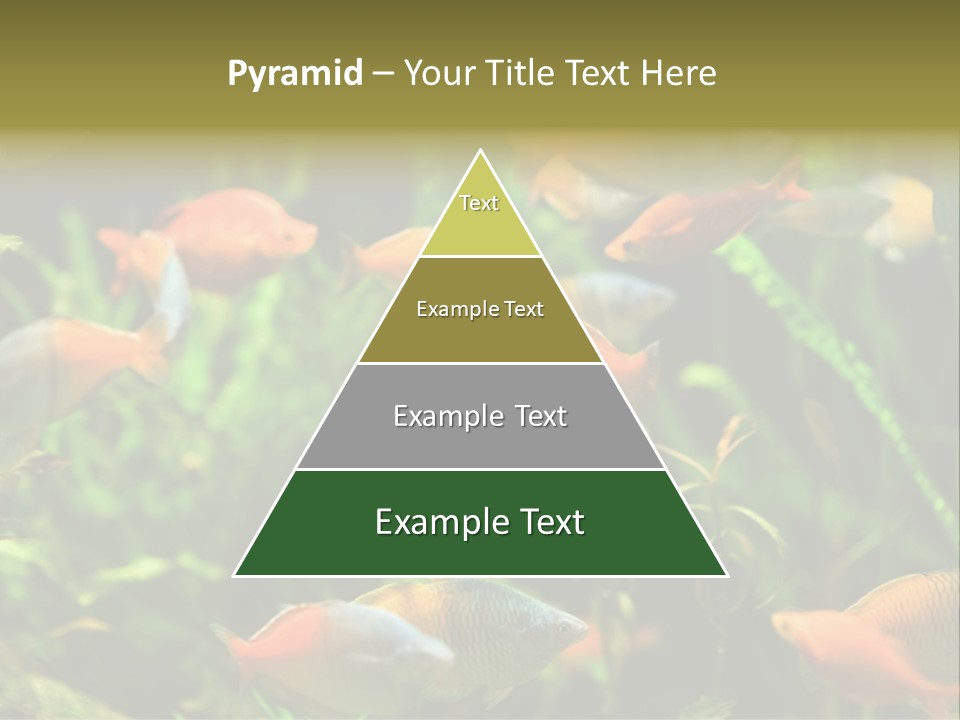 Fish In Aquarium PowerPoint Template