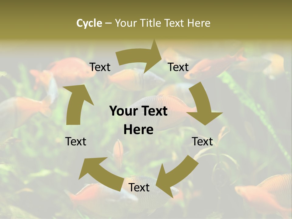 Fish In Aquarium PowerPoint Template