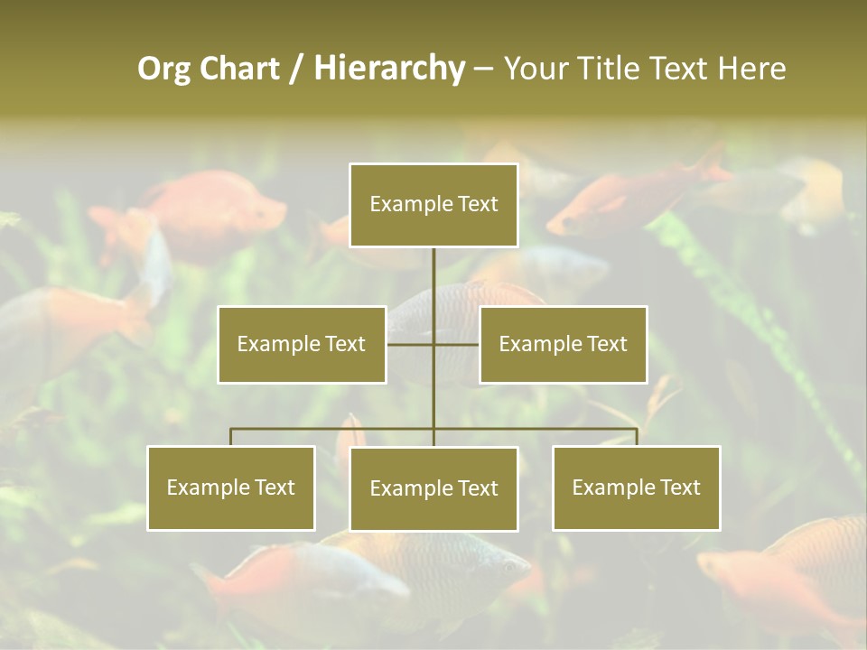 Fish In Aquarium PowerPoint Template