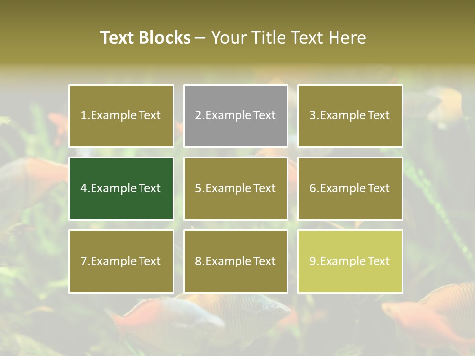 Fish In Aquarium PowerPoint Template