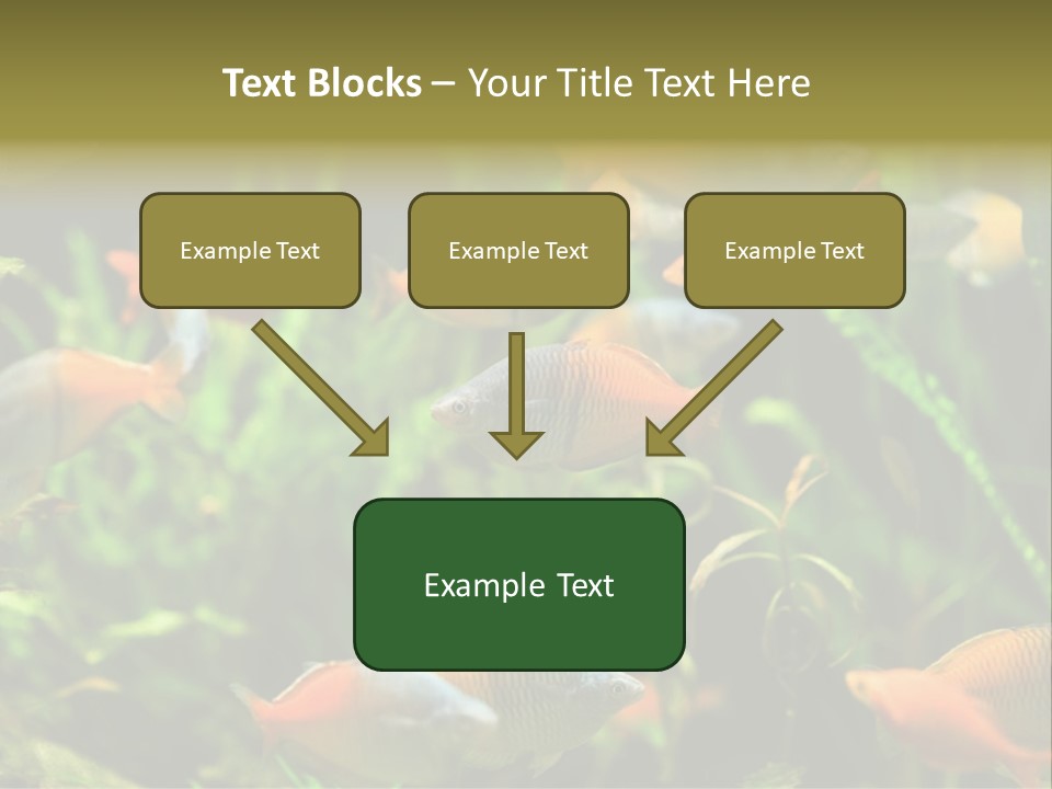 Fish In Aquarium PowerPoint Template