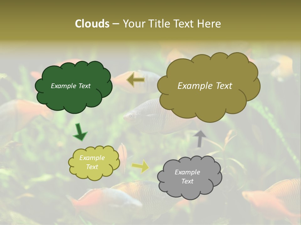 Fish In Aquarium PowerPoint Template