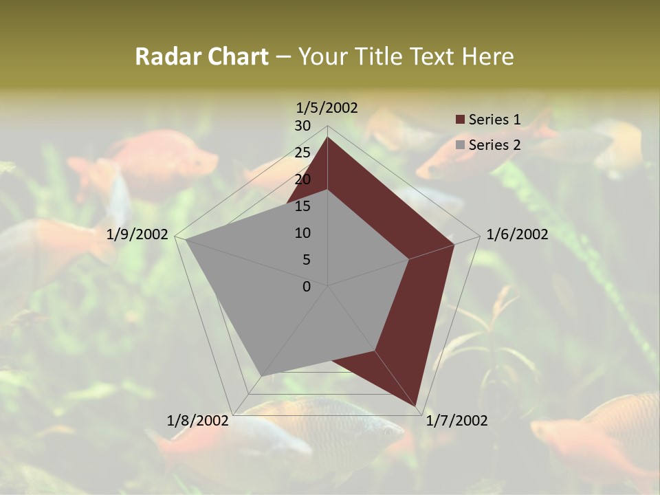 Fish In Aquarium PowerPoint Template