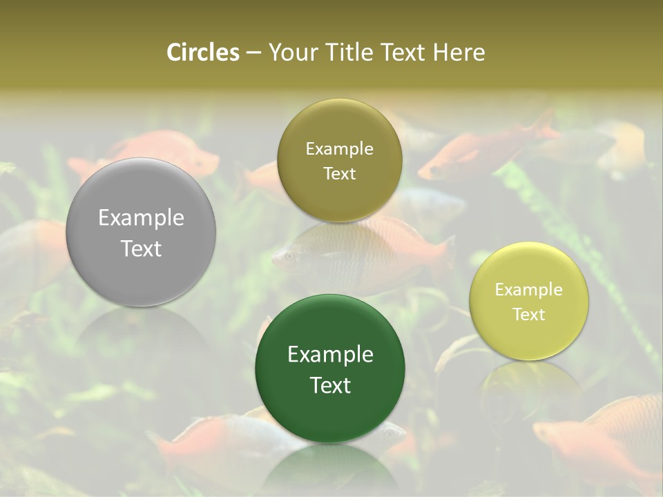 Fish In Aquarium PowerPoint Template