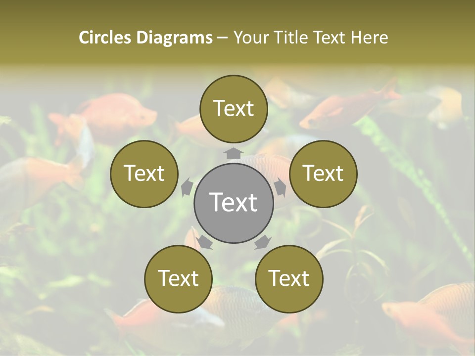 Fish In Aquarium PowerPoint Template