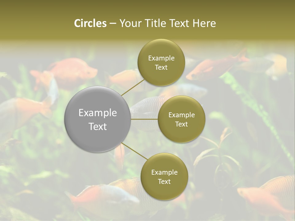 Fish In Aquarium PowerPoint Template