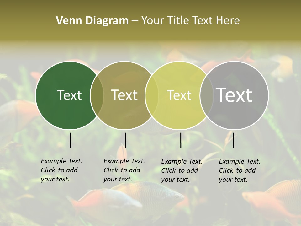 Fish In Aquarium PowerPoint Template