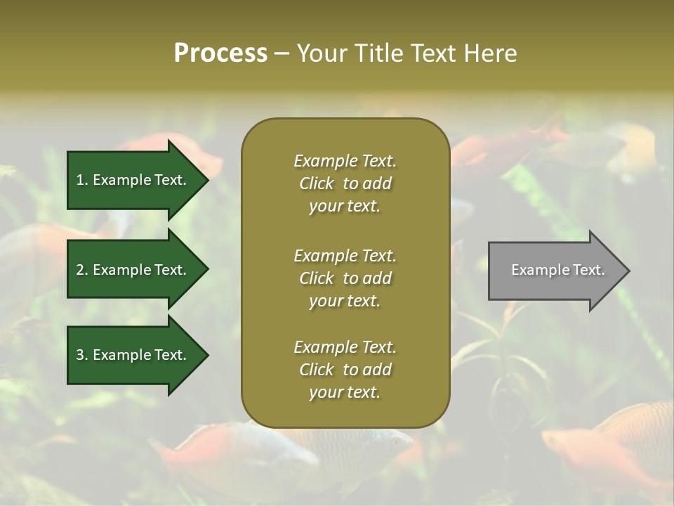 Fish In Aquarium PowerPoint Template