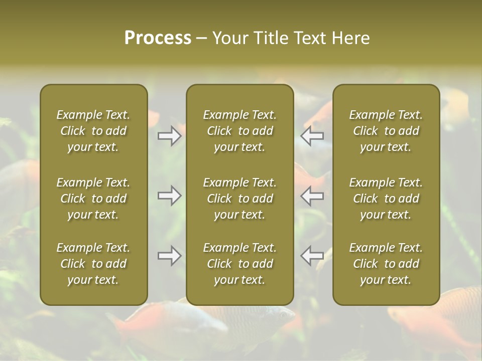 Fish In Aquarium PowerPoint Template