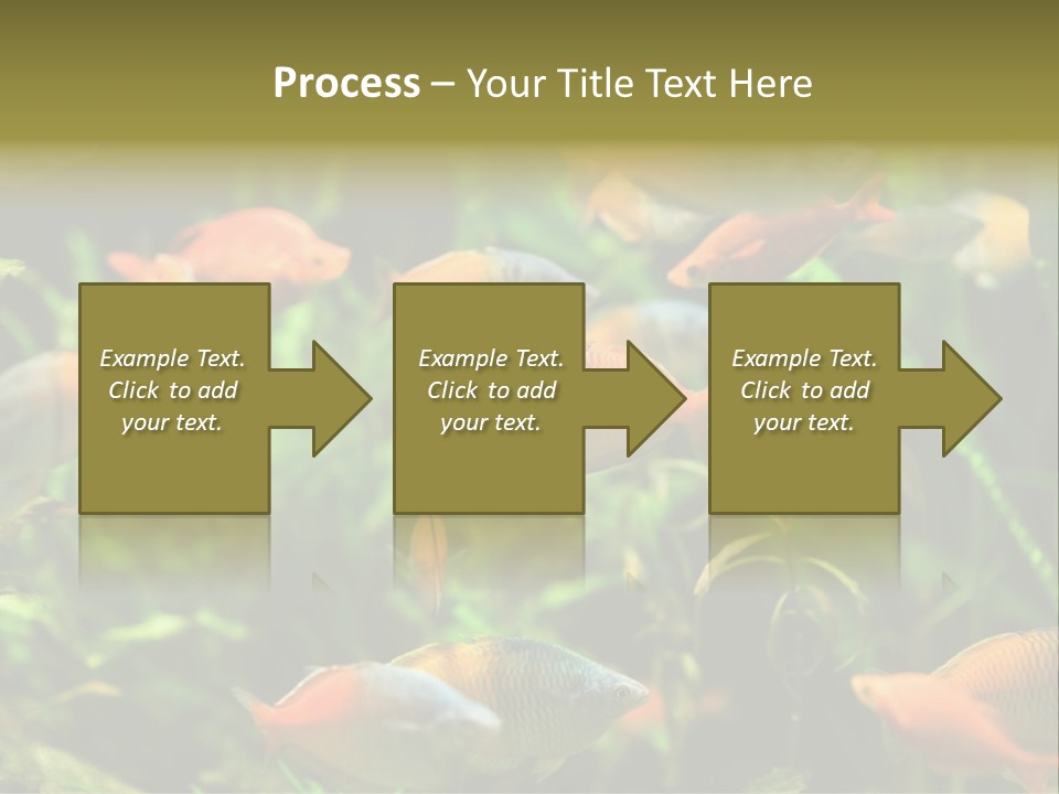 Fish In Aquarium PowerPoint Template