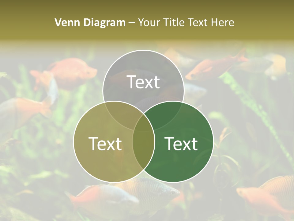 Fish In Aquarium PowerPoint Template